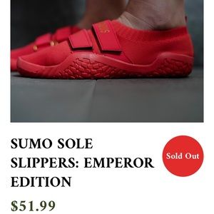 Notorious lift slippers